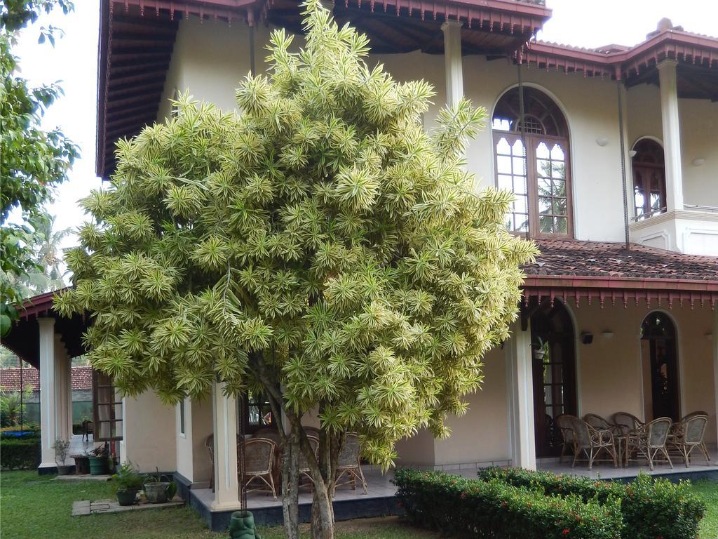 Villa Ranmenika Ahungalla Buitenkant foto